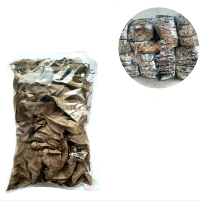 [PROMO] daun pala kering 1kg