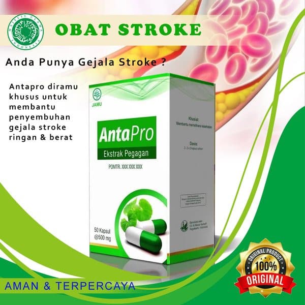 Obat Herbal Penyembuhan Pasca Stroke - Antapro Bharata 100% Original