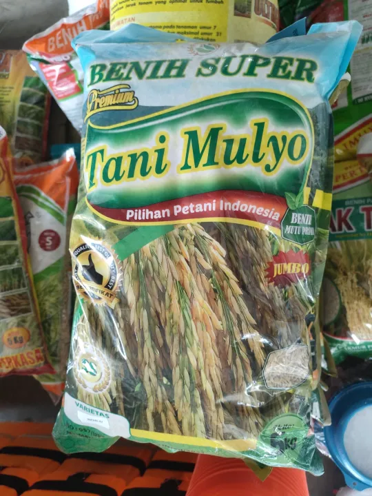BENIH PADI INPARI 47 WBC kemasan Premium | Lazada Indonesia
