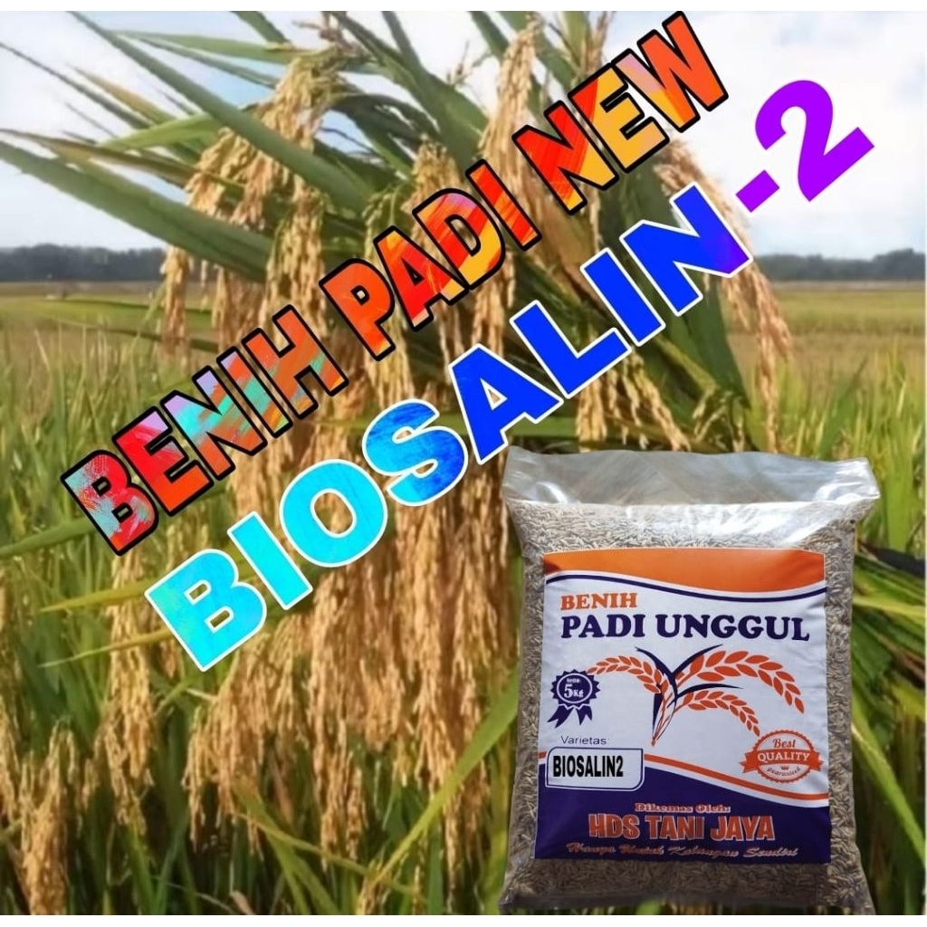 COD PAKET 2PCS 10KG BENIH PADI BIOSALIN-02 BERSERTIFIKAT ORIGINAL LABEL PUTIH