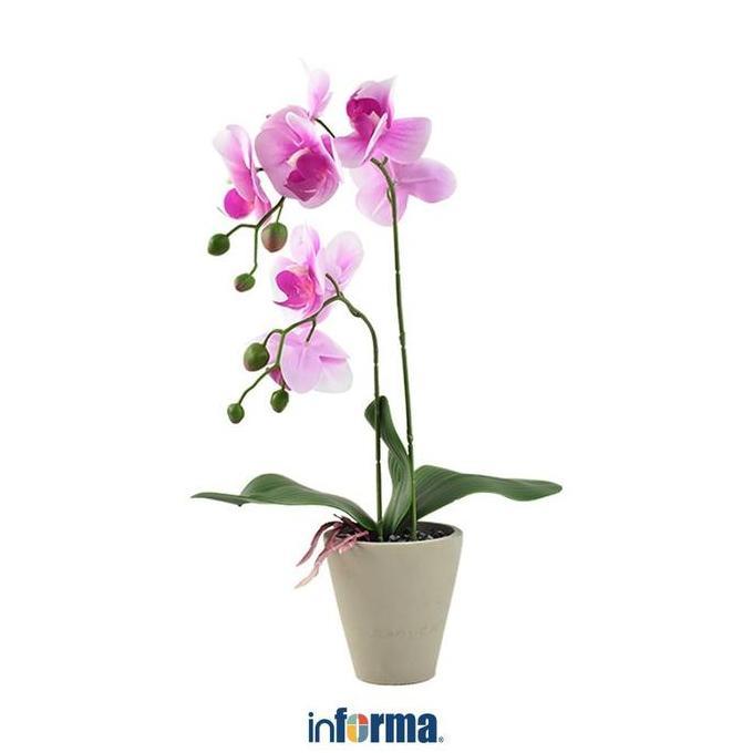 Informa Bunga Artifisial Orchid 56 cm - Putih/Ungu Tanaman Hias Dekorasi Meja Pajangan Rumah Bunga Plastik Tiruan