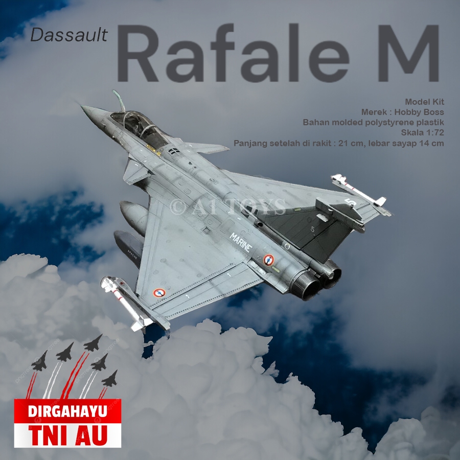 Jual Model Kit miniatur pesawat Dassault Rafale M Hobby Boss 21 cm 1:72 | Shopee Indonesia