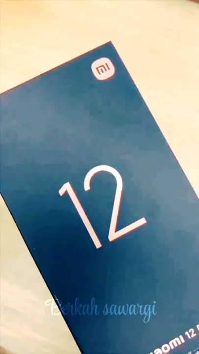 XIAOMI 12 PRO 5G 12/256GB | Lazada Indonesia