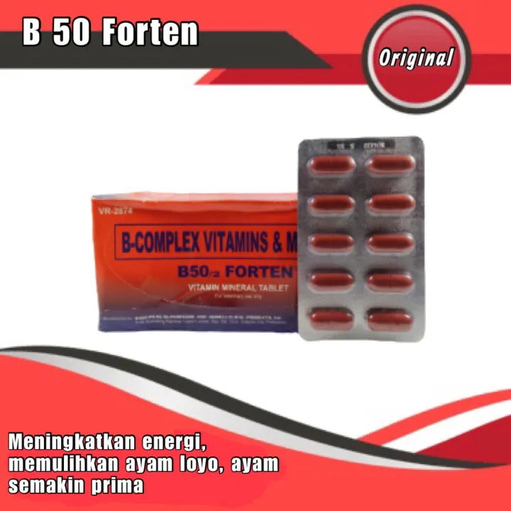 B50 forten vitamin penambah stamina ayam aduan isi 10 kapsul | Lazada Indonesia