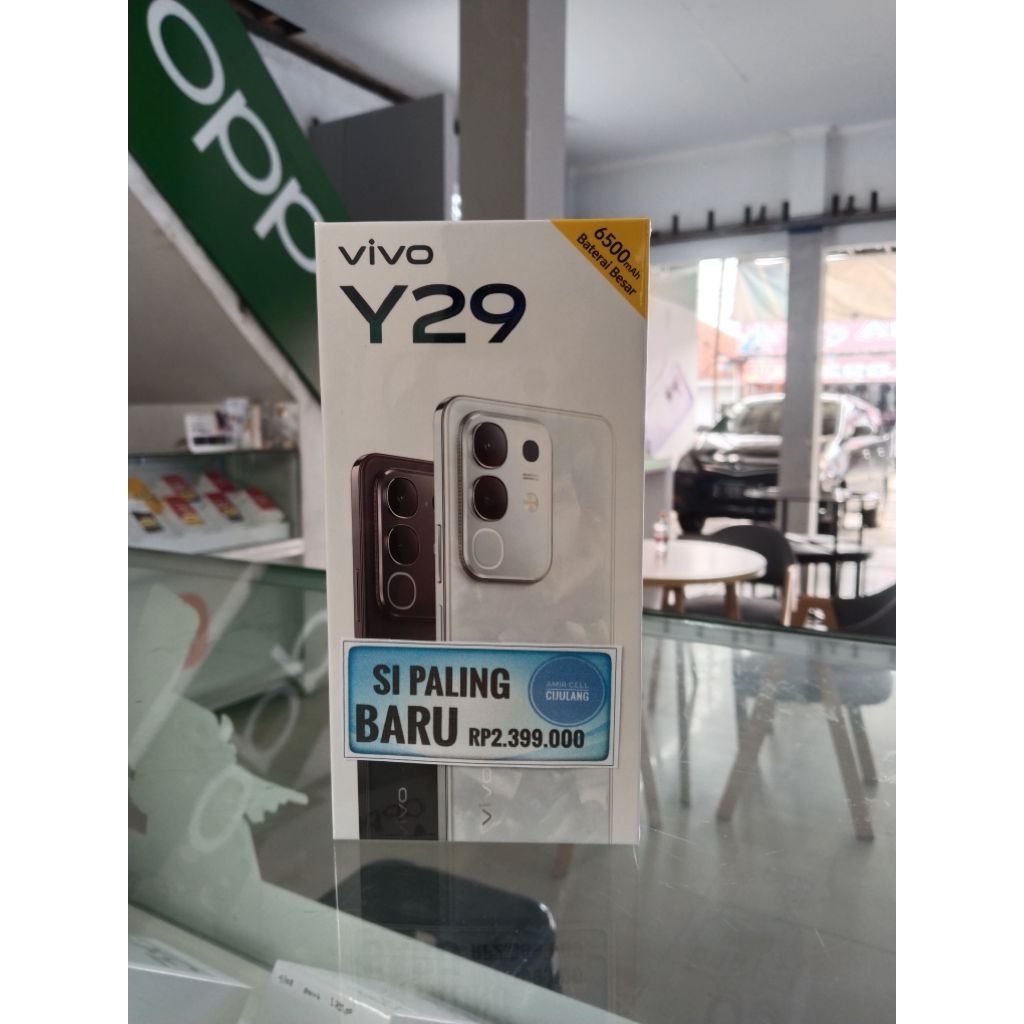 VIVO Y29