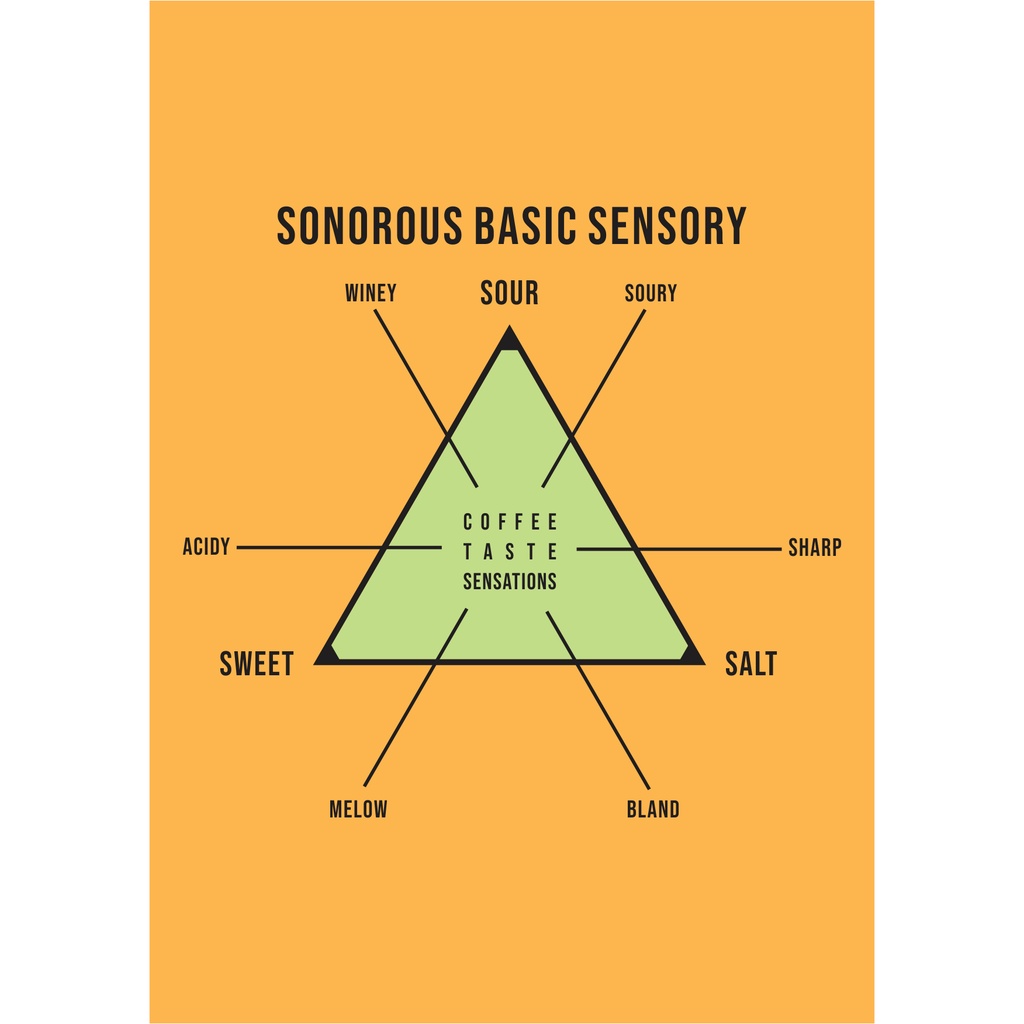 Jual SONOROUS BASIC SENSORY COFFEE GUSTATIONS | Shopee Indonesia