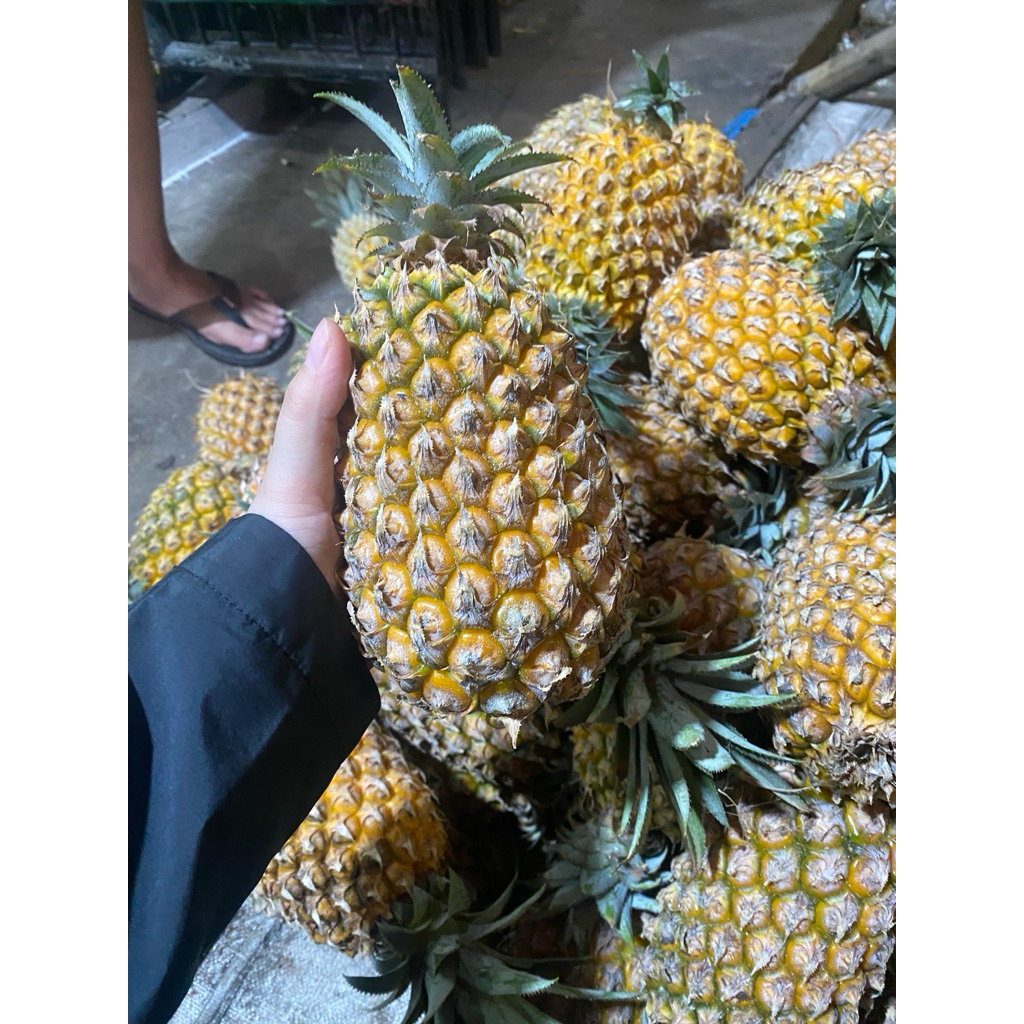 Jual nanas madu lokal size gede premium murah manis asem seger | Shopee Indonesia