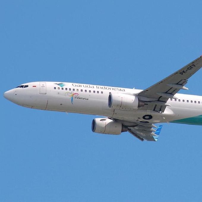 Jual Boeing 737 800 Model Kit RC Garuda Indonesia - Mainan Pesawat Terbang Skala besar untuk Penggemar Aviasi | Shopee Indonesia