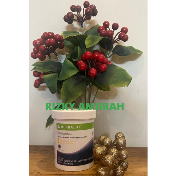 Jual Niteworks | Shopee Indonesia