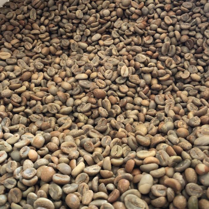 Biji Kopi Arabika Arabica Green Bean Malabar Classic Natural Specialty
