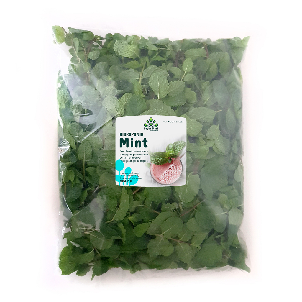 Jual SAYUR MINI Hidroponik Daun Mint 250gr - Fresh Cut - Hydroponics | Shopee Indonesia