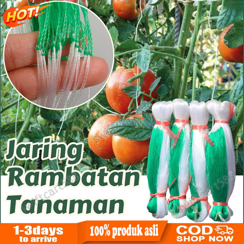 Jual 2M X 100M Jaring Net Rambatan Tanaman Kebun Trellis Netting Green Net Farm Climbing Net Untuk Sayuran Alat Berkebun Clematis | Shopee Indonesia